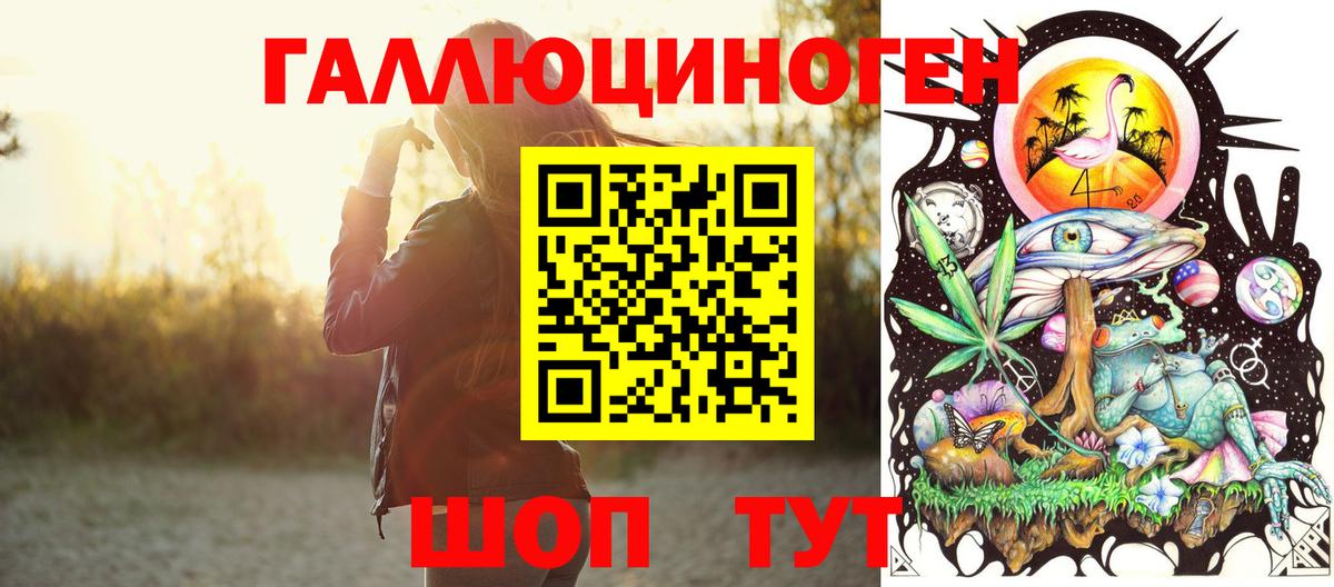 Знаменск  Псилоцибиновые грибы мухоморы  хочу наркоту  Псилоцибиновые грибы Psilocybine cubensis  Вход с VPN 
